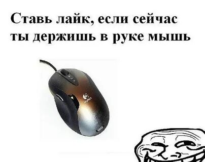 Да я поставила