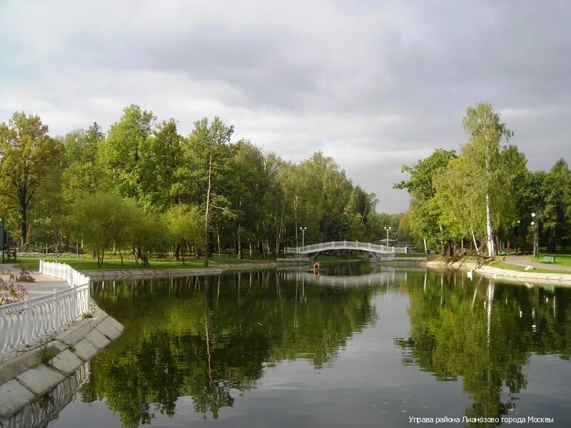 Парк Лианозово. Парк в Алтуфьево Лианозово. Алтуфьевский пруд в Лианозово. Лианозовский парк рядом с Алтуфьево.