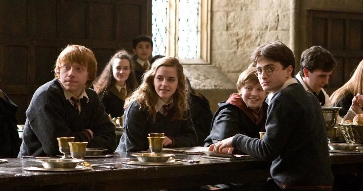 Harry potter course for university students