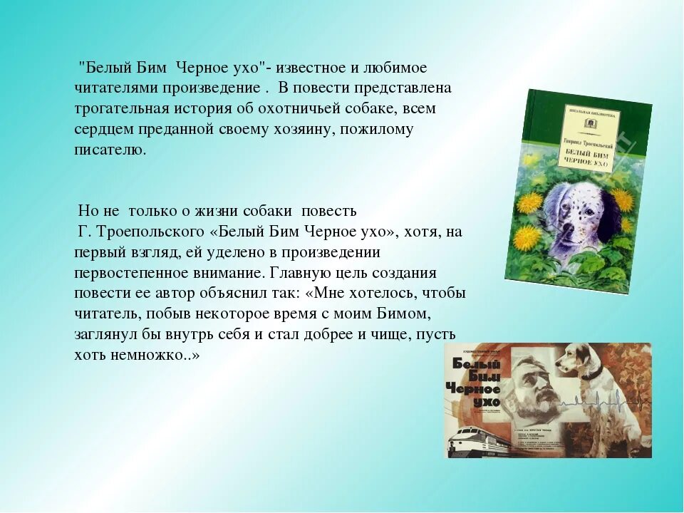 Белый бим черное ухо кратко по главам. Троепольский белый Бим черное ухо читательский дневник. Белый Бим черное ухо. Повесть.. Книга белый Бим черное ухо презентация. Собаки в литературе.