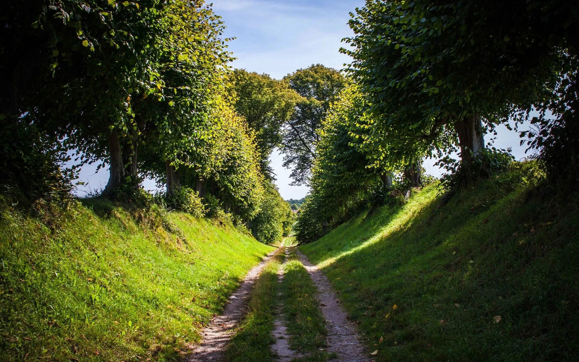 Path