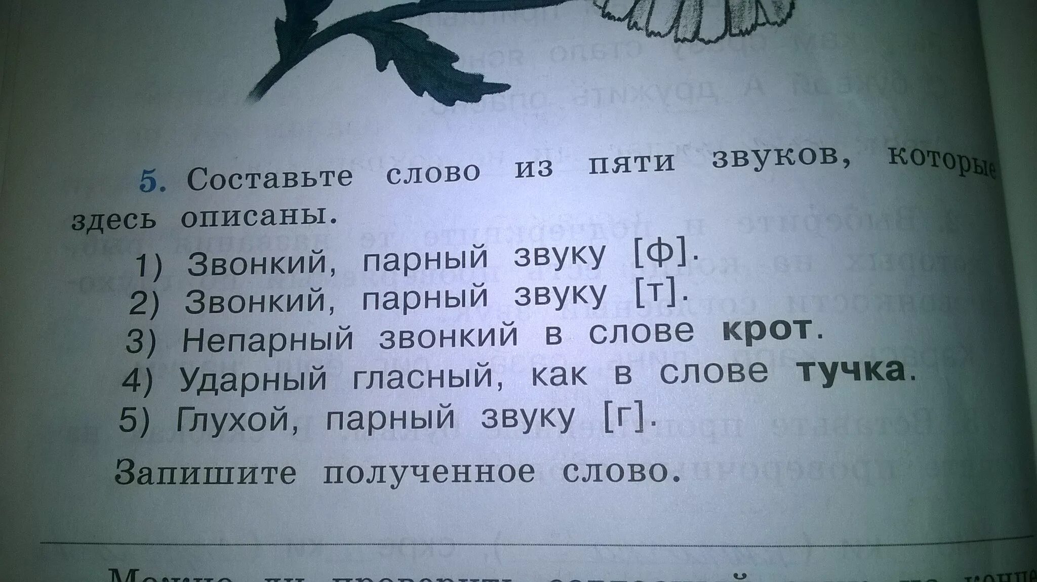 Составить слово ударный. Составить слово из звуков. Составь слово из 5 звуков которые здесь описаны. Придумать слово из 5 звуков. Слова из 5 звуков.