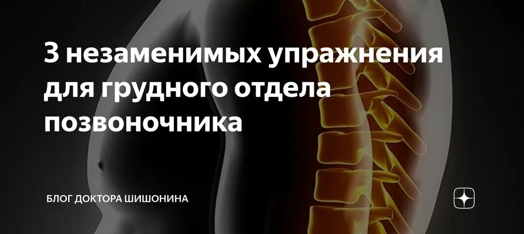 Гимнастика для грудного отдела позвоночника доктора Шишонина. Упражнения для грудного отдела позвоночника доктора Шишонина. Шишонин упражнения для грудного отдела позвоночника. Шишонин гимнастика грудной остеохондроз. Упражнение для грудного отдела позвоночника шишонина