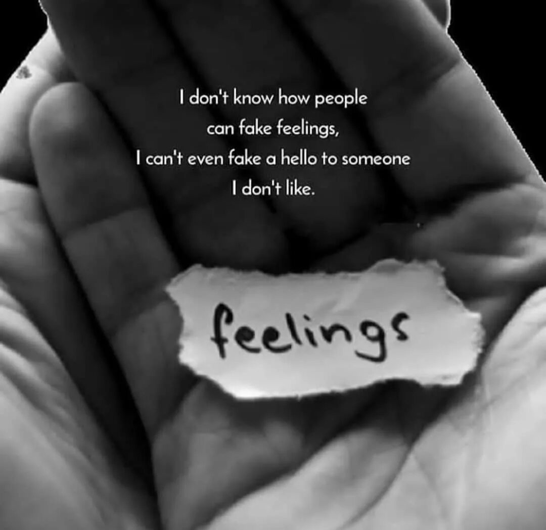 T know how. People how know. fake pills fake feelings перевод.