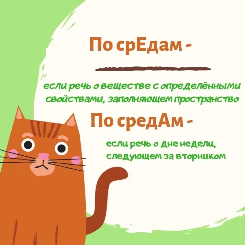 Вечером в среду текст. Средам или средам ударение. По средам ударение. Правильное ударение в слове по средам. Как правильно по средам или по средам ударение.