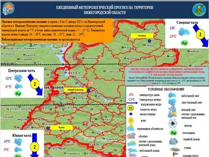 Ежедневный оперативный