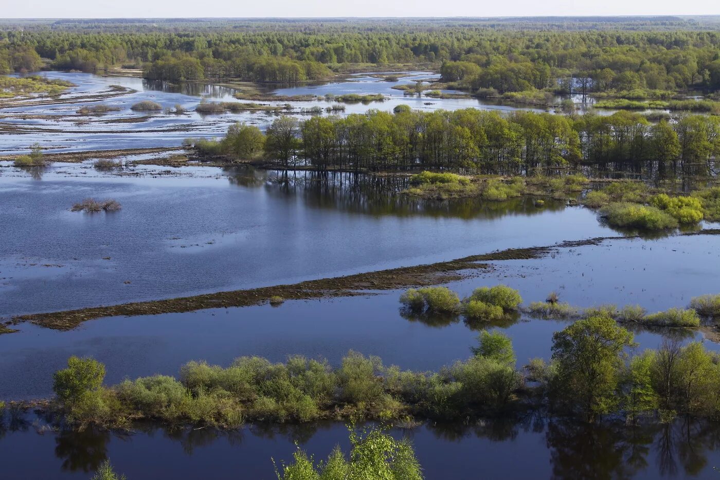 Уровень клязьмы во владимире. Вязники половодье. Река Клязьма во Владимирской области. Разлив Клязьмы Вязники Владимирская область.