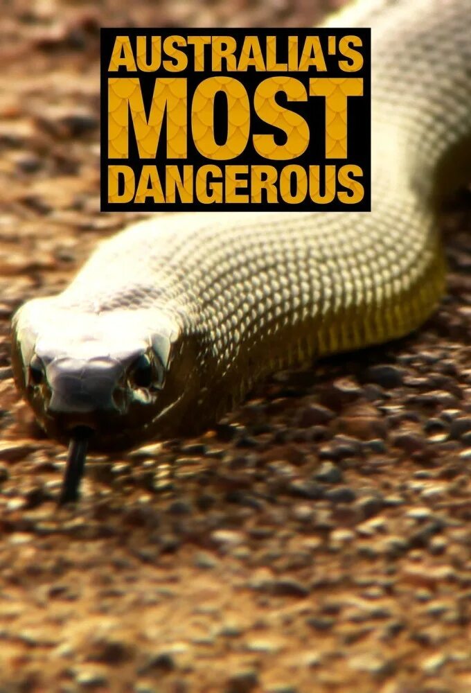 Australia most Dangerous animals 7 класс.