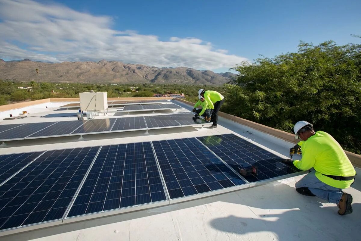 Лист будущего. Веста электрик солнечные панели. Solar Panel installer Winnipeg. Solar job Tajikistan.