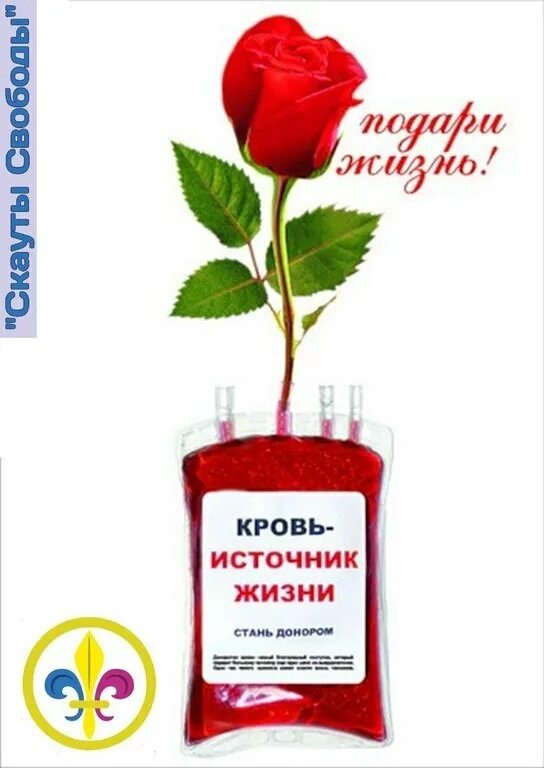 День донора. Всемирный день донора крови. Кровь источник жизни. С днем донора поздравление открытки.