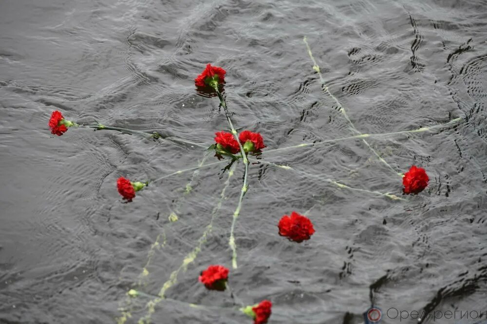 Гвоздики на воде. Гвоздики брошенные на земле. Красные гвоздики в воде в Питере. Водяной цветок красная гвоздика. Сколько воды гвоздикам