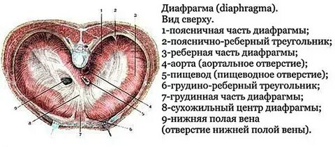 Диафрагма с точечным отверстием