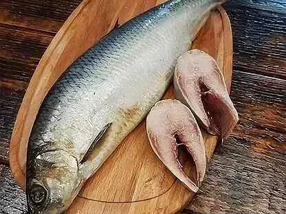 Какая сельдь