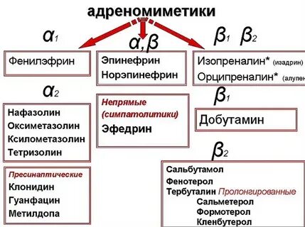 Основные эффекты адреномиметиков