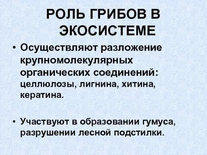 Роль грибов в жизни бактерий. Какова роль бактерий и грибов в экосистеме. Роль грибов в экосистеме. Роль бактерий в экосистеме. Какова роль грибов в экосистеме.