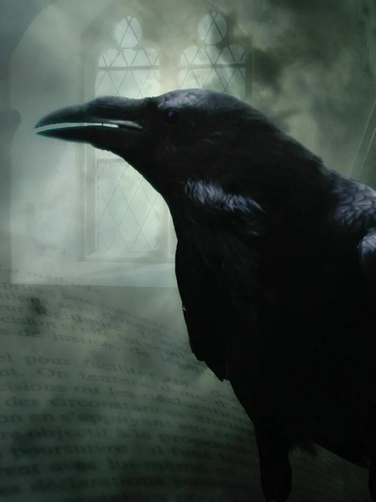 Raven poe. Каркнул ворон Nevermore.