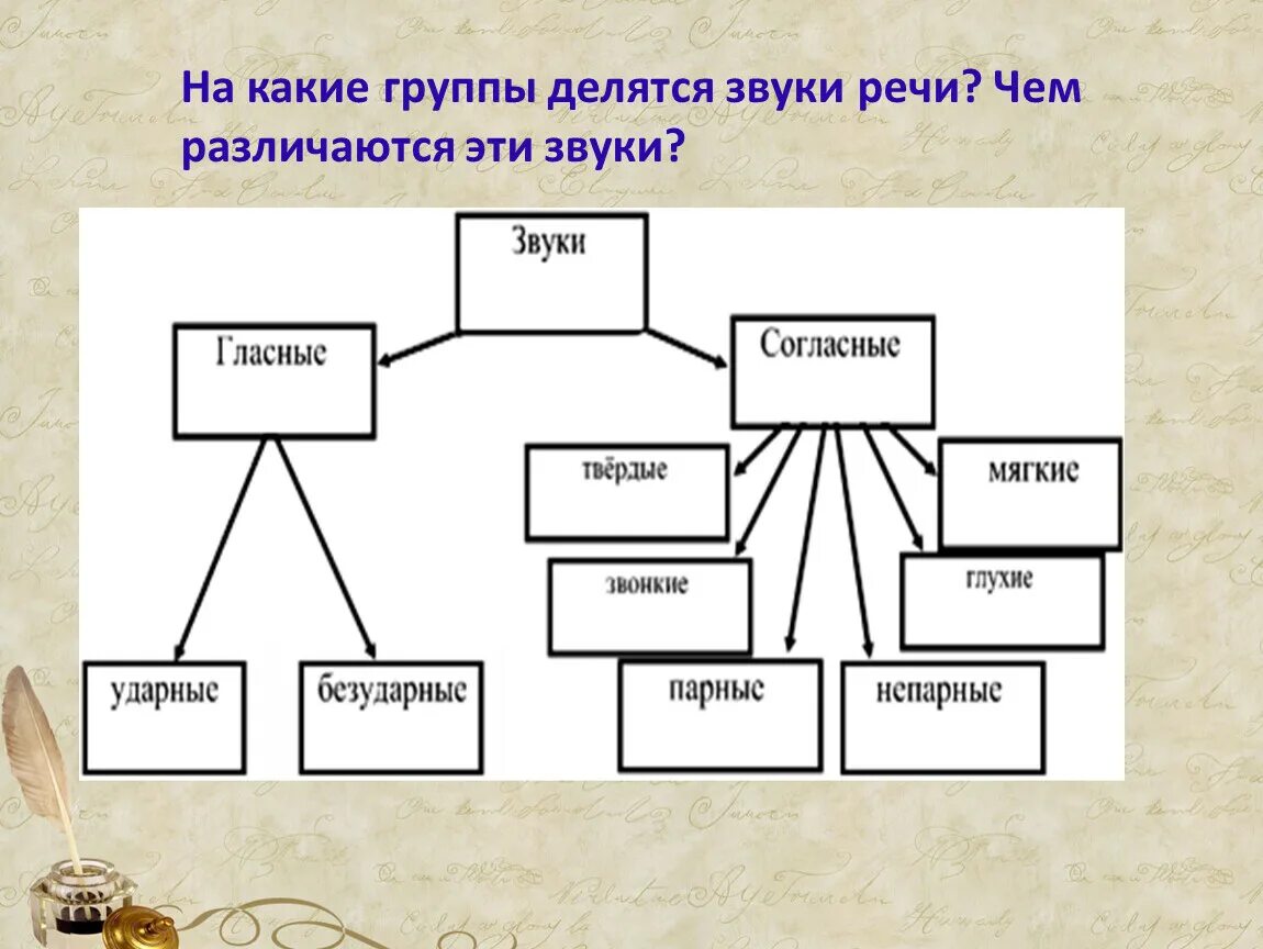 Какие группы имеют группы. Звуки речи делятся на. Намкакме грпуппы лелятся щвуки. На какие группы делятся звуки. Группы звуков русского языка.