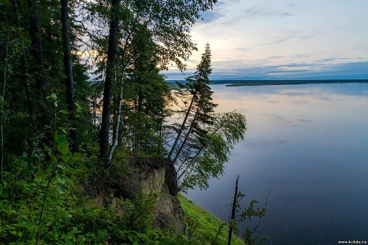 источники питания печоры