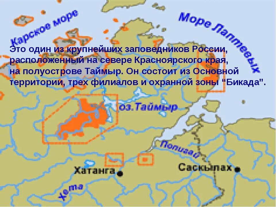 В какой зоне находится красноярский край. Таймырский заповедник природная зона. Таймырский заповедник Красноярского края. Таймырский заповедник на карте. Таймырский биосферный заповедник на карте.