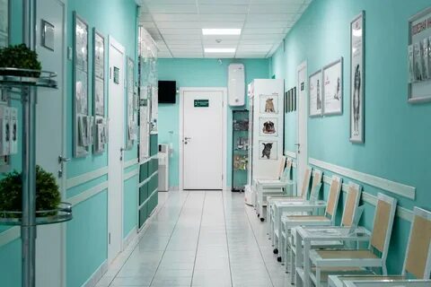 Время вет братиславская ул 32 отзывы