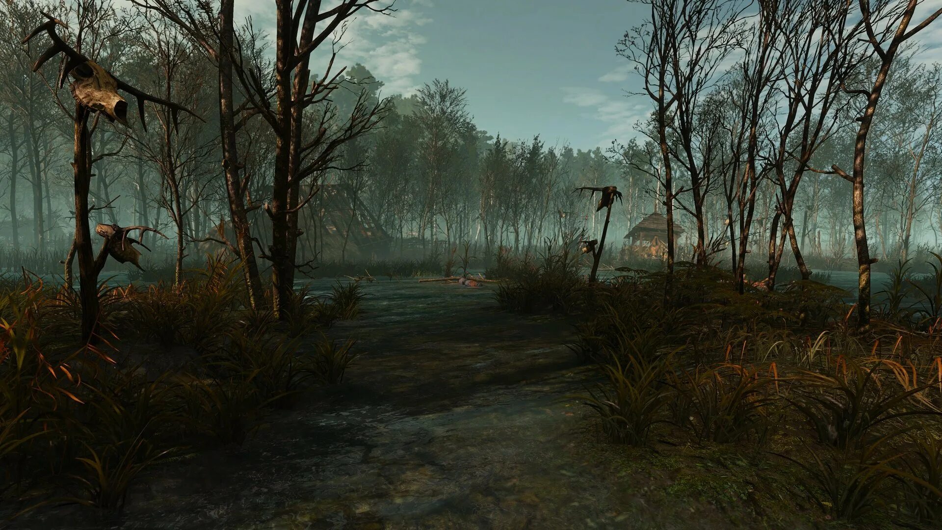 Bog 3