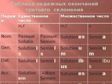 Договор склонение во множественном