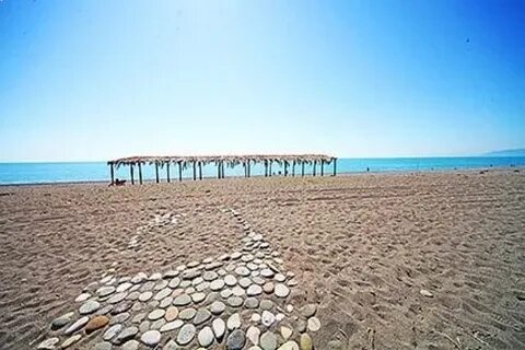 Золотой песок кудры