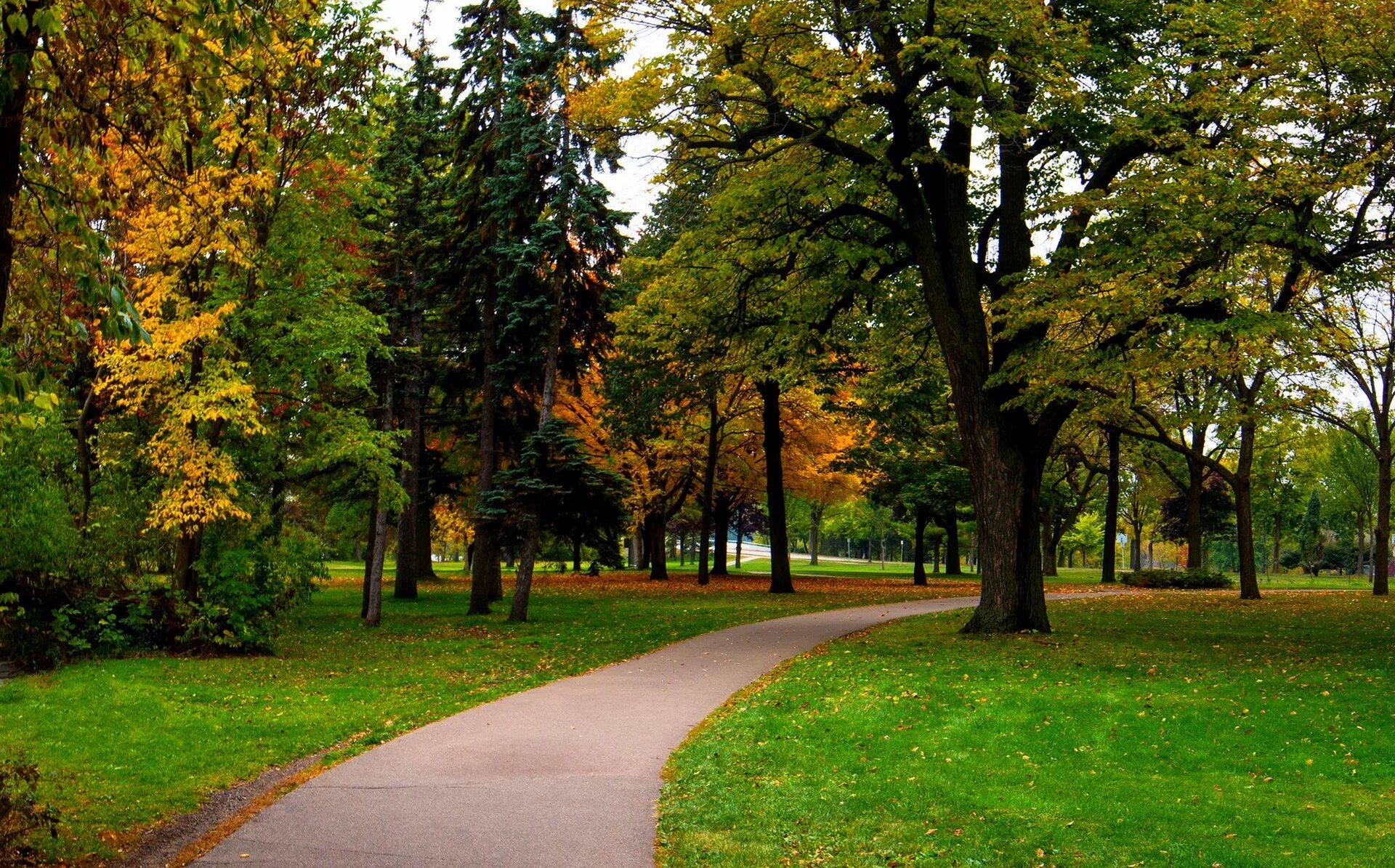 Оттава аллеи. Парк победы трехгорный. Елизаветин павильон в павловском парке. Конец паркового. Конец паркового.