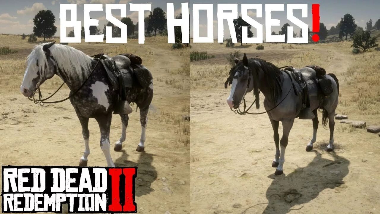 Мустанг рдр. Мустанг rdr 2. Red Dead Redemption 2 Horses. Андалузская rdr2. Фокстроттер лошадь в rdr2.