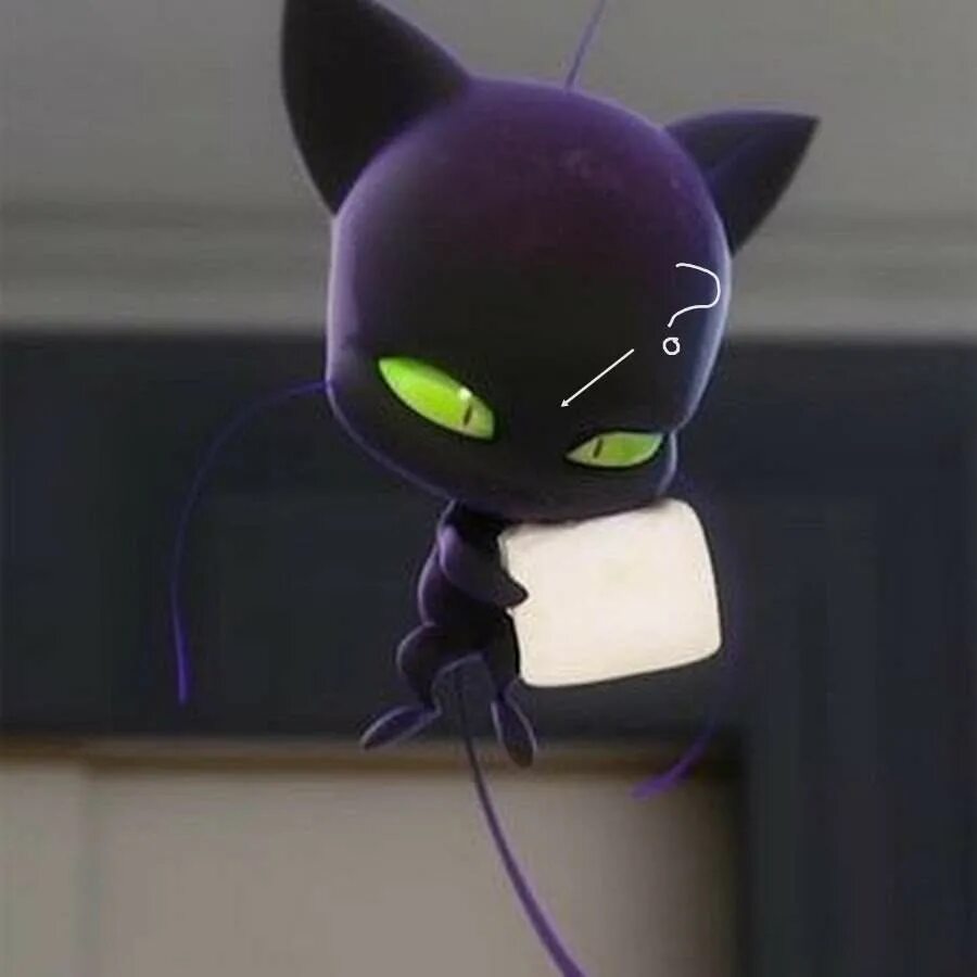 Когти баг и когти кот. Леди баг и супер кот плагг. Когти баг и когти кот. Антицарапки черные. Кошачий коготь.