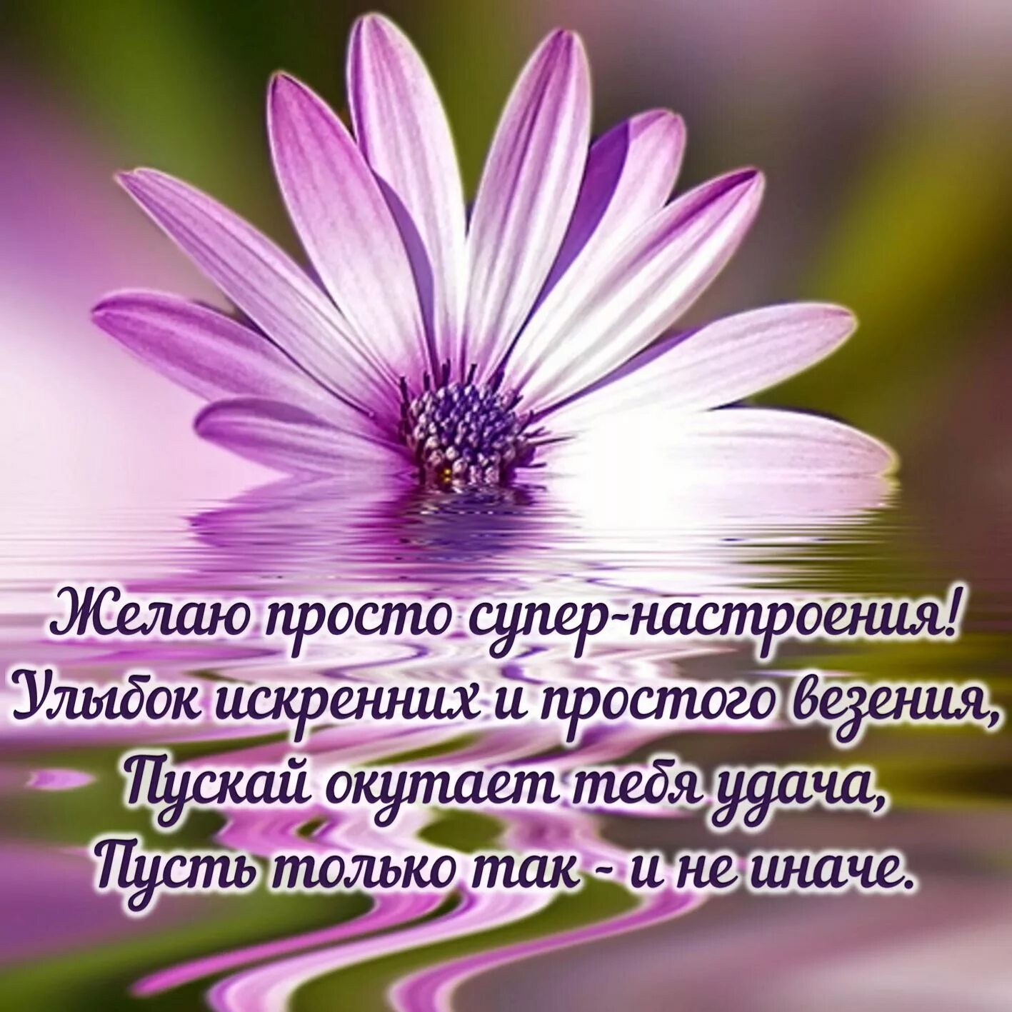 Добрый день позитивные пожелания со смыслом. Хорошие пожелания. Открытки с пожеланиями отличного настроения. Пожелания доброго дня. Поздравления с хорошим нас.