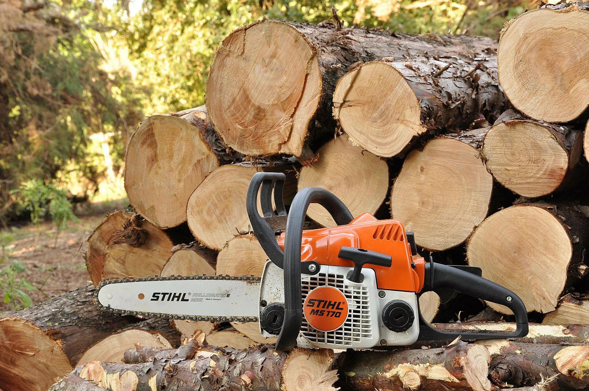 Stihl MS 170. Спил деревьев бензопилой штиль. Пила штиль для Валки леса. Штиль 180 пилит дерево. Игры пили дерево