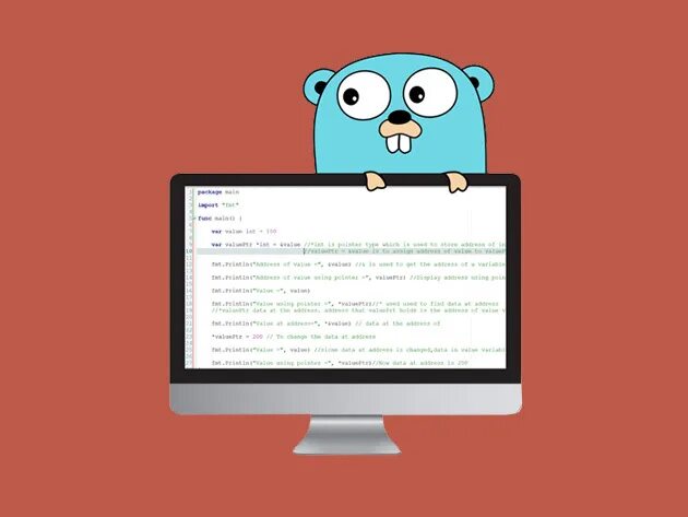 Compile go. Язык программирования го. Golang язык программирования. Google go язык программирования. Go язык программирования логотип.
