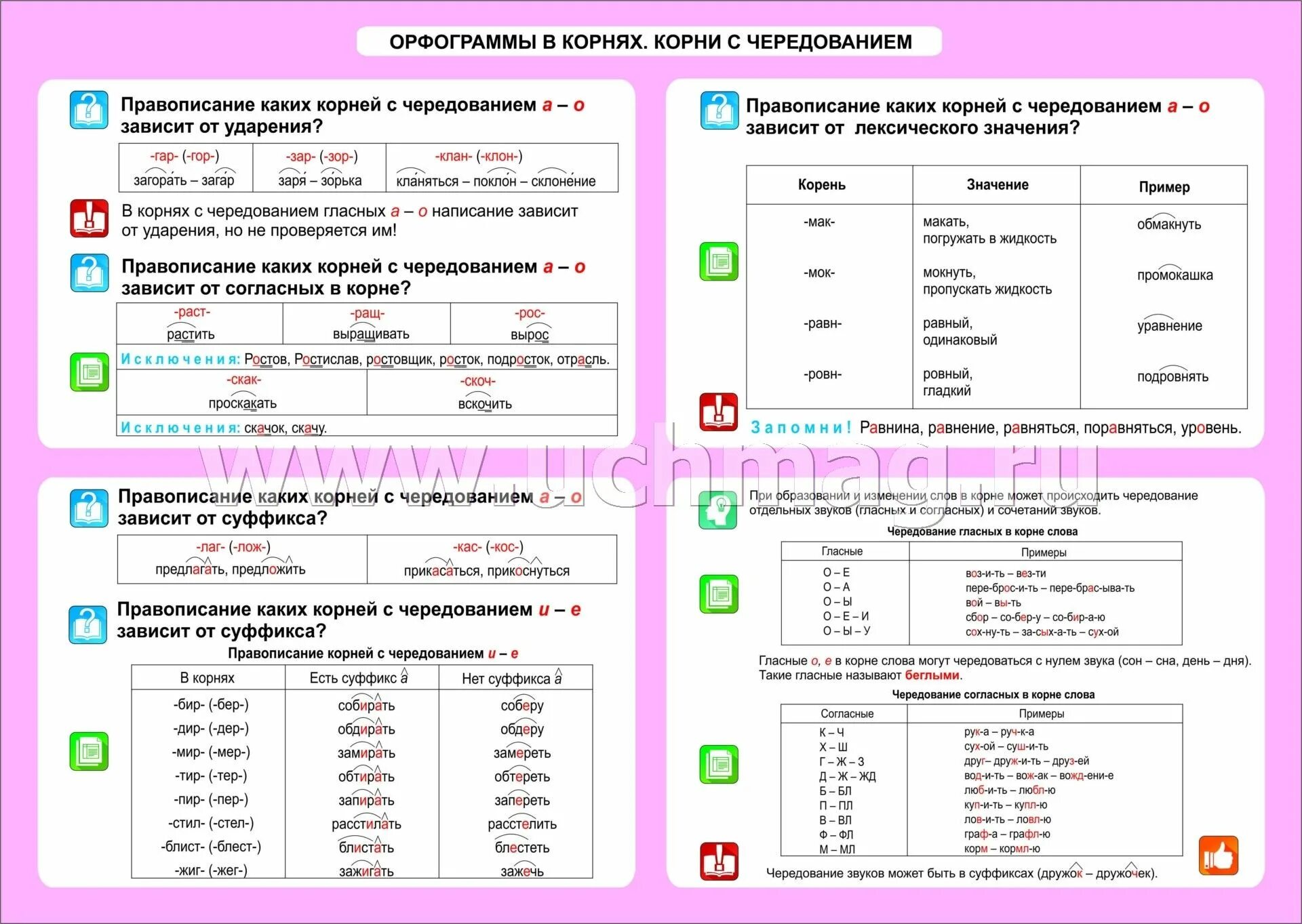 Тест основные правила орфографии. Таблица орфограмм. Орфограммы начальной школы по русскому языку таблица. Таблица орфограмм русского языка. Основные орфограммы.