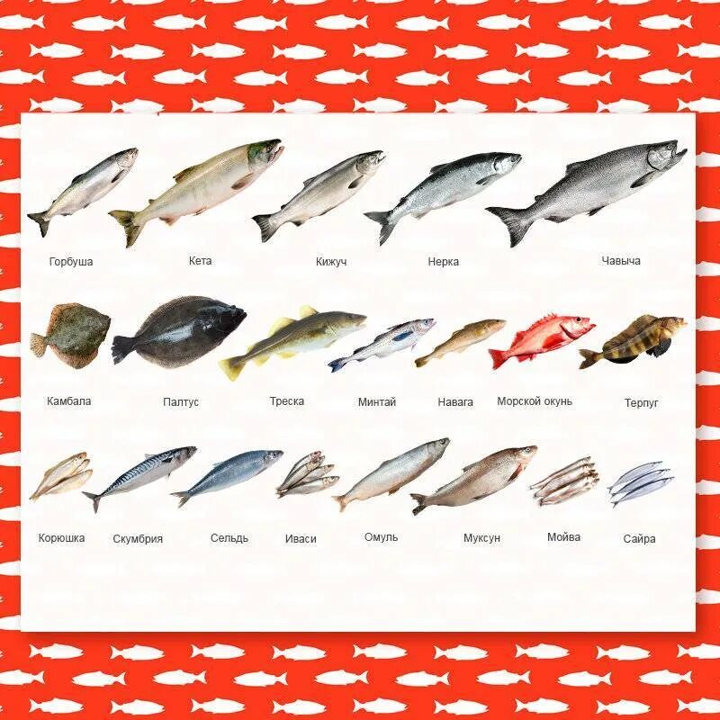 Название рыбных. Название для рыбного. Основные семейства промысловых рыб товароведение. Классификация рыбы по семействам. Семейства промысловых рыб таблица.