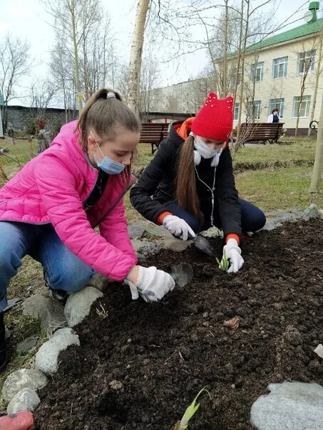 Подростки сажают цветы. Цветы на пришкольном участке. Пришкольный участок в школе. Дети сажают деревья. Посадка цветов детьми.