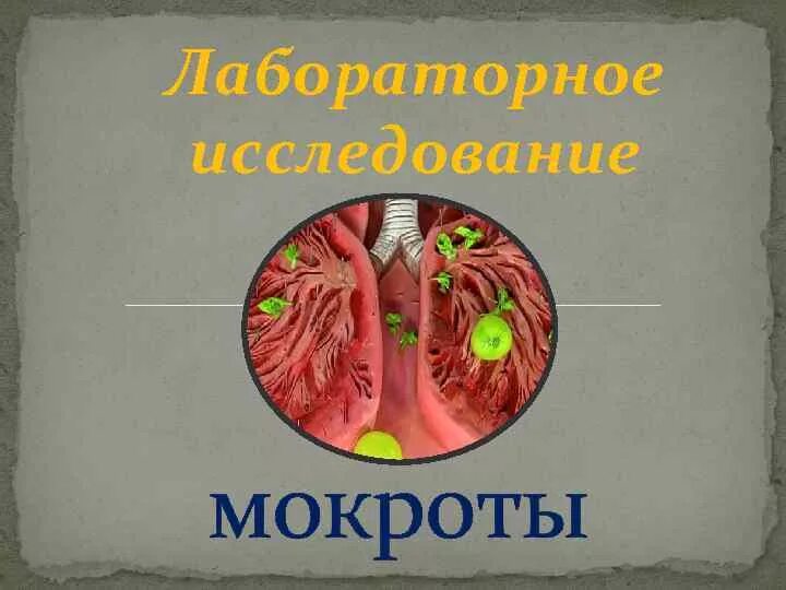 Мокрота слайд. Исследование мокроты. Исследование мокроты презентация.