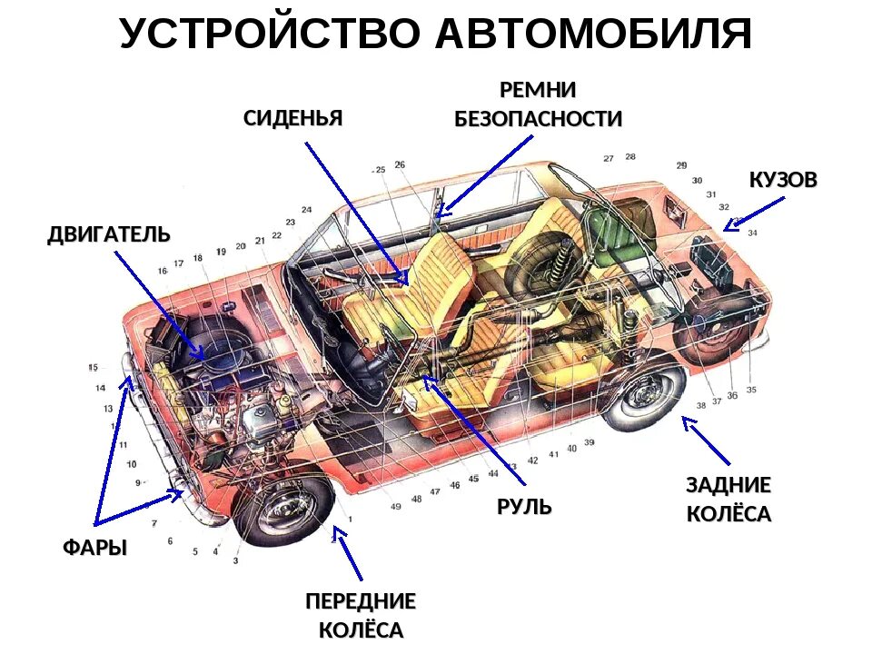 Общее устройство карта