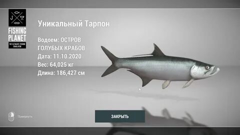 Tarpon t 5s