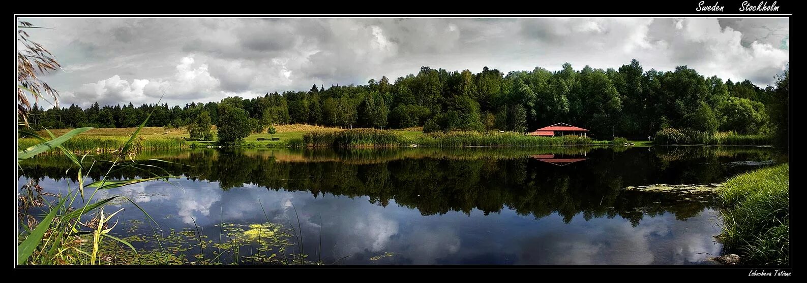 Озера тихие озера дальние. Тихое озеро. Самая Тихия озера. Фотографии тихое озеро. Лето панорама.