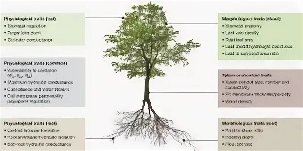 Root перевод на русский. Unlocked. Root перевод на русский. Root перевод на русский. Root перевод на русский.