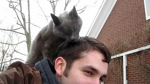 Hair lick