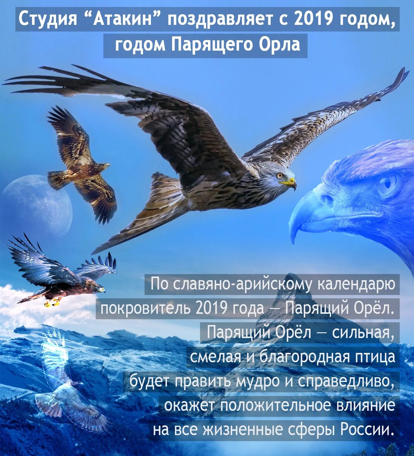 год парящего орла славянский календарь. год орла по славянскому. я свободен орел.
