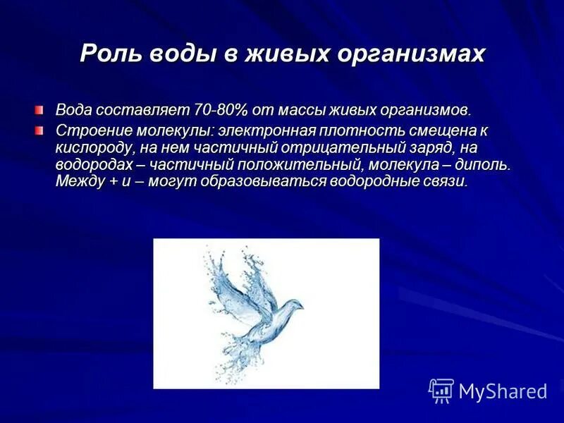 Роль воды в распространении. Вода в живых организмах. Значение воды для живых организмов.