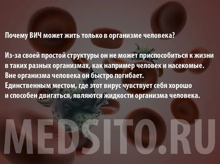 Как жить с вич инфицированным. Сколько живет ВИЧ вне организма. Сколько живёт вирус ВИЧ вне организма. Сколько вирус ВИЧ живет на предметах.