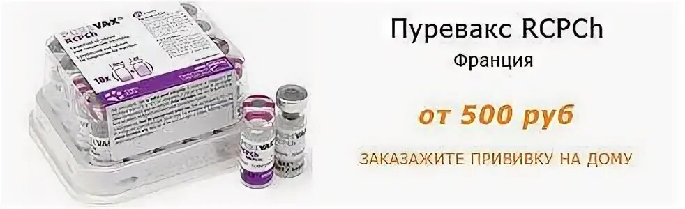 Пуревакс вакцина для кошек отзывы. Пуревакс RCPCH вакцина для кошек. Пуревакс FELV вакцина. Мультифел 4 с бешенством. Квадрикат вакцина для кошек.