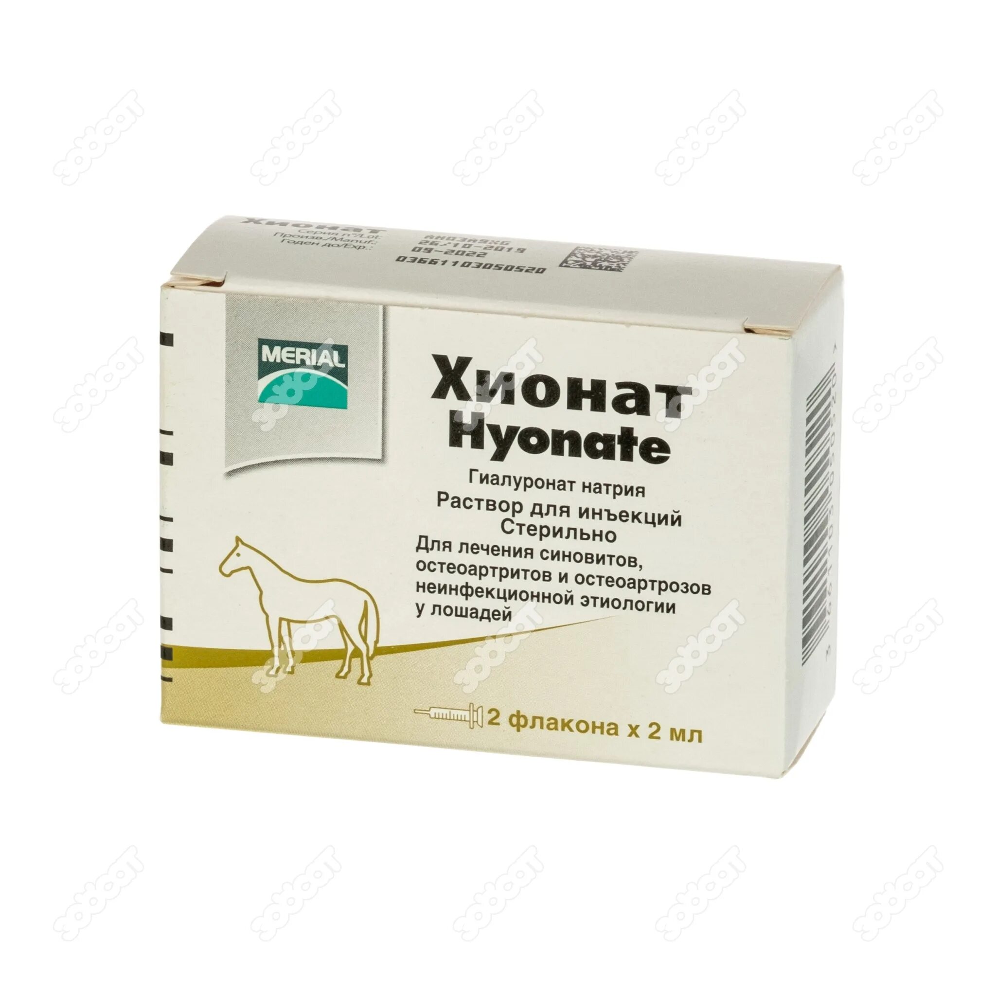 Хионат байер. Препарат хионат. Хионат для собак. Препарат хионат для собак. Хионат для собак.