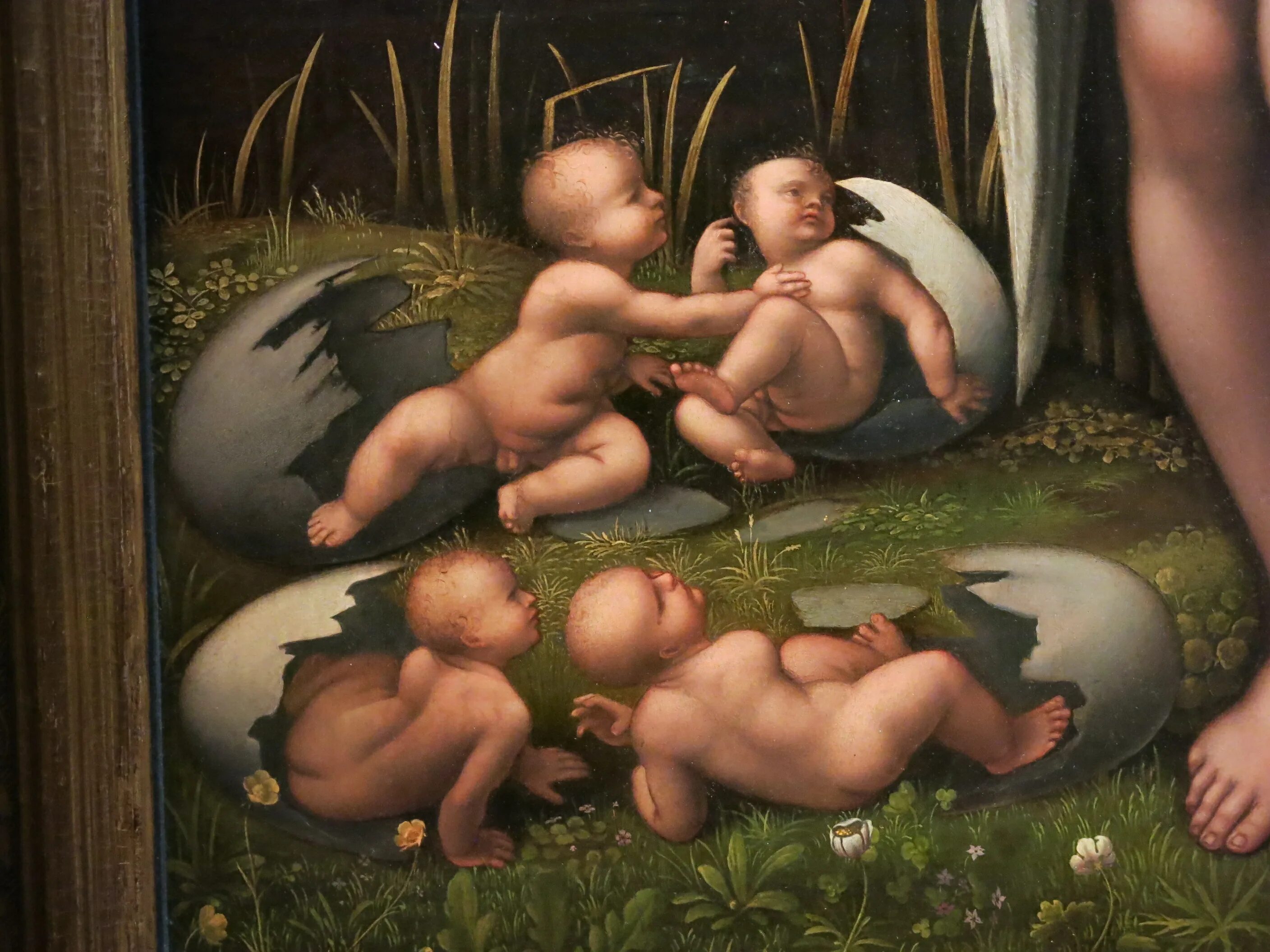 Антонио бацци содома леда. Картина леонардо давинчи леда. Леда и лебедь леонардо. Леда леонардо да винчи. Vincent sellaer.