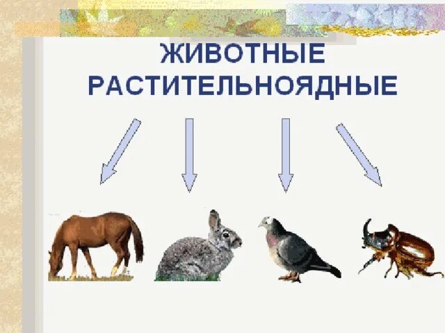 Картинки РАСТИТЕЛЬНОЯДНЫЕ ЖИВОТНЫЕ ПЕРЕЧИСЛИТЬ