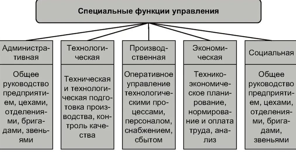 Специальные функции управления в менеджменте. Краткая характеристика специальных функций управления. Специальные конкретные функции управления. Основные характеристики функций управления организации. Примеры управленческой функции